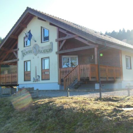 Chalet Du Bucheron Apartment เฌราร์แมร์ ภายนอก รูปภาพ